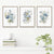 Minimalistische Wilde Wiesenblumen Aquarell Wandkunst Fein Kunst Leinwanddrucke Botanische Poster Bilder Für Wohnzimmer Wohnkultur | Brehn