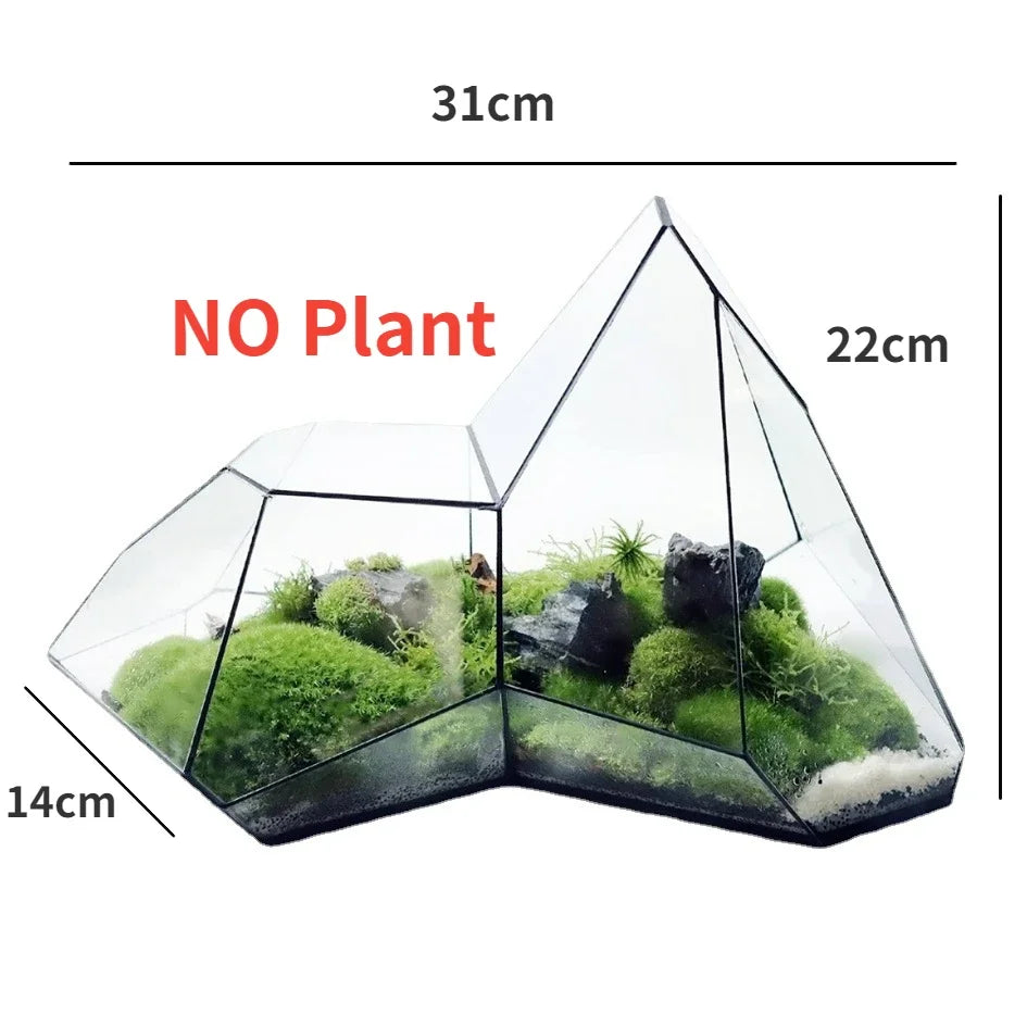 Geometric Glass Moss Planter Terrarium Vase | Brehn