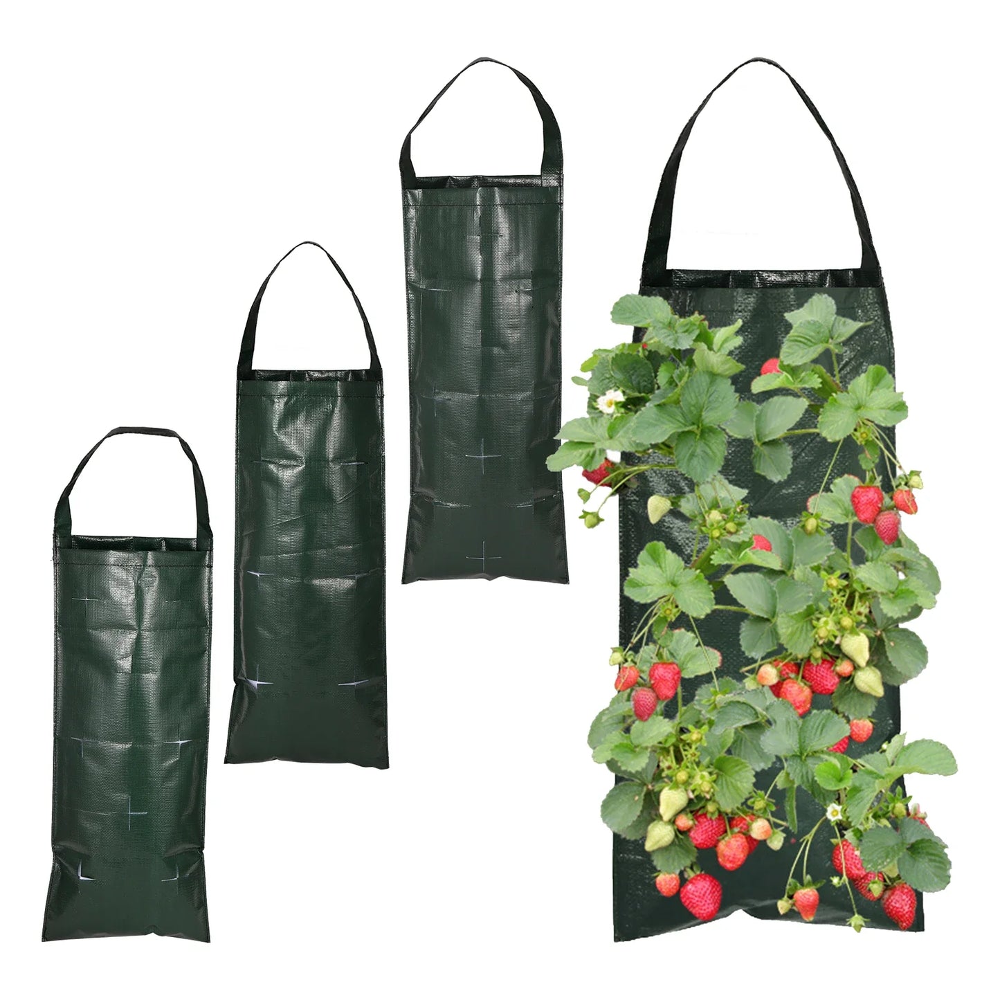Brehn | VertiBloom Wand-Pflanztasche für Erdbeeren & Kräuter | 6/8/10 Taschen | Vertikaler Garten Pflanzsack aus PE für Innen & Außen