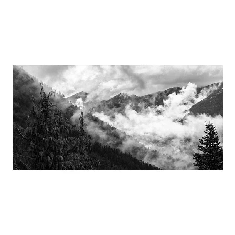 Nordlandschaften Wald Berg Wildnis Wandkunst Fine Art Leinwanddrucke Schwarz Weiß Poster Für Wohnzimmer Moderne Büros Dekor | Brehn