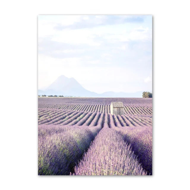 Provence Landschaft Purpur Lavendel Bilder von ruhiger Wandkunst Fine Art Leinwanddrucke Galerie Wandbilder für Wohnzimmer Kunst Dekor