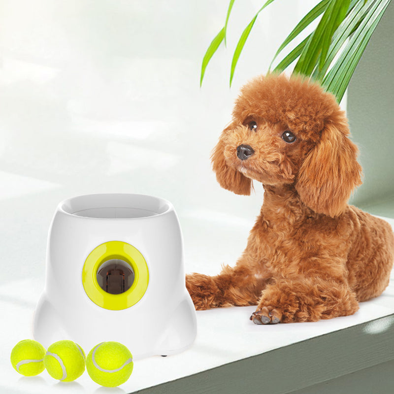 PlayBolt Automatischer Ballwerfer für Hunde | Brehn