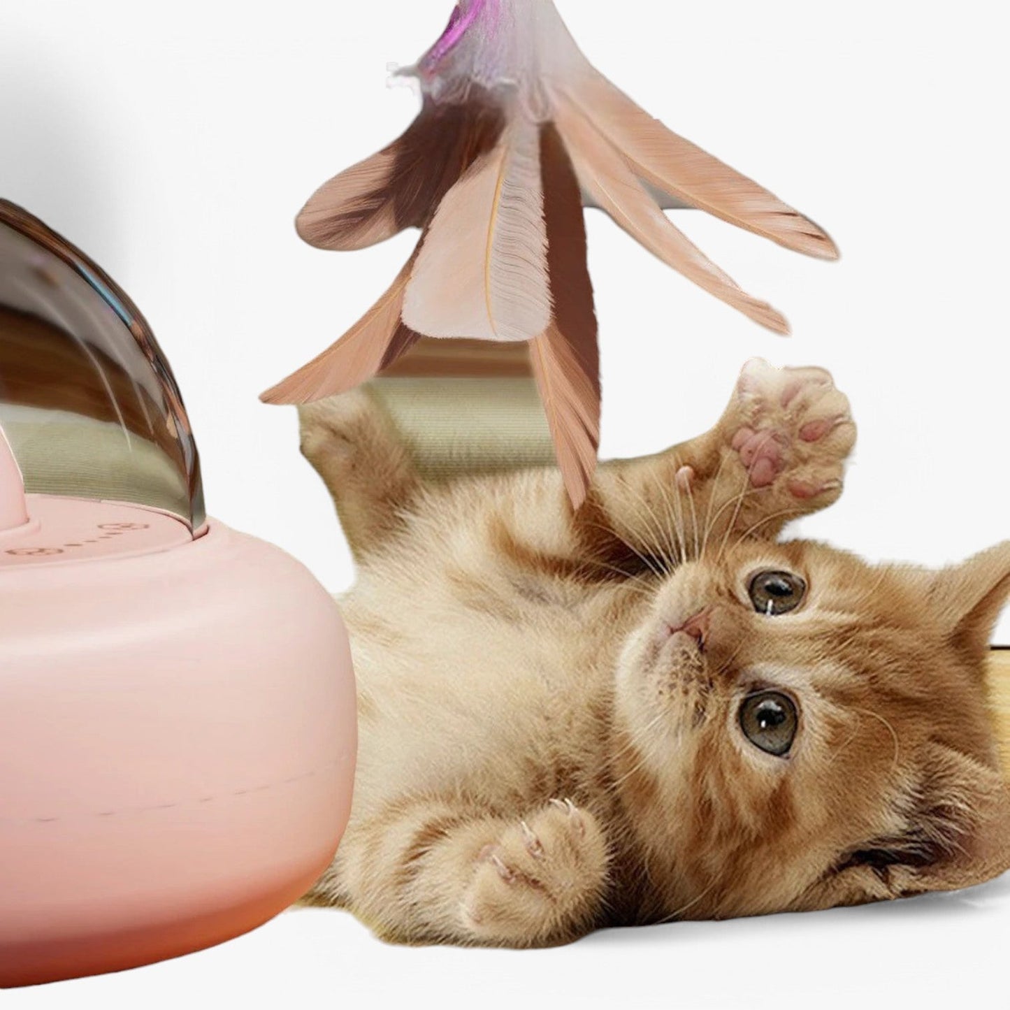 Smart Cat Laser "Hunting Light" mit Regenbogenfunktion und USB-Ladefunktion | Brehn