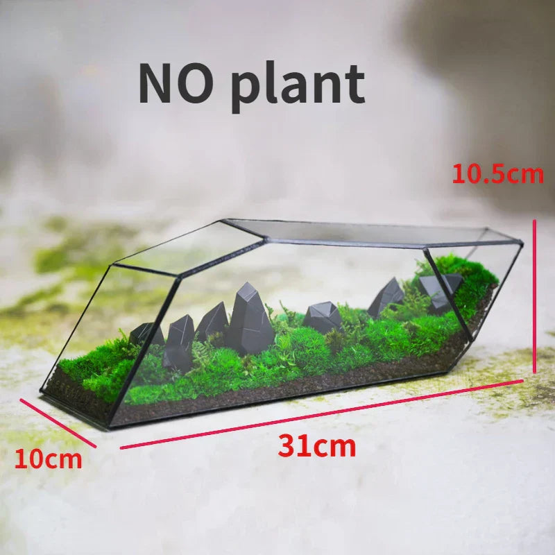 Geometrischer Glasmoos-Pflanzer Terrarium-Vase