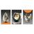 Set von 3Pcs Moderne Ästhetik Abstrakte Stillleben Wandkunst Hochwertige Leinwanddrucke Bilder für Luxus-Loftwohnung Wohnzimmer Esszimmer Kunstdekoration | Brehn