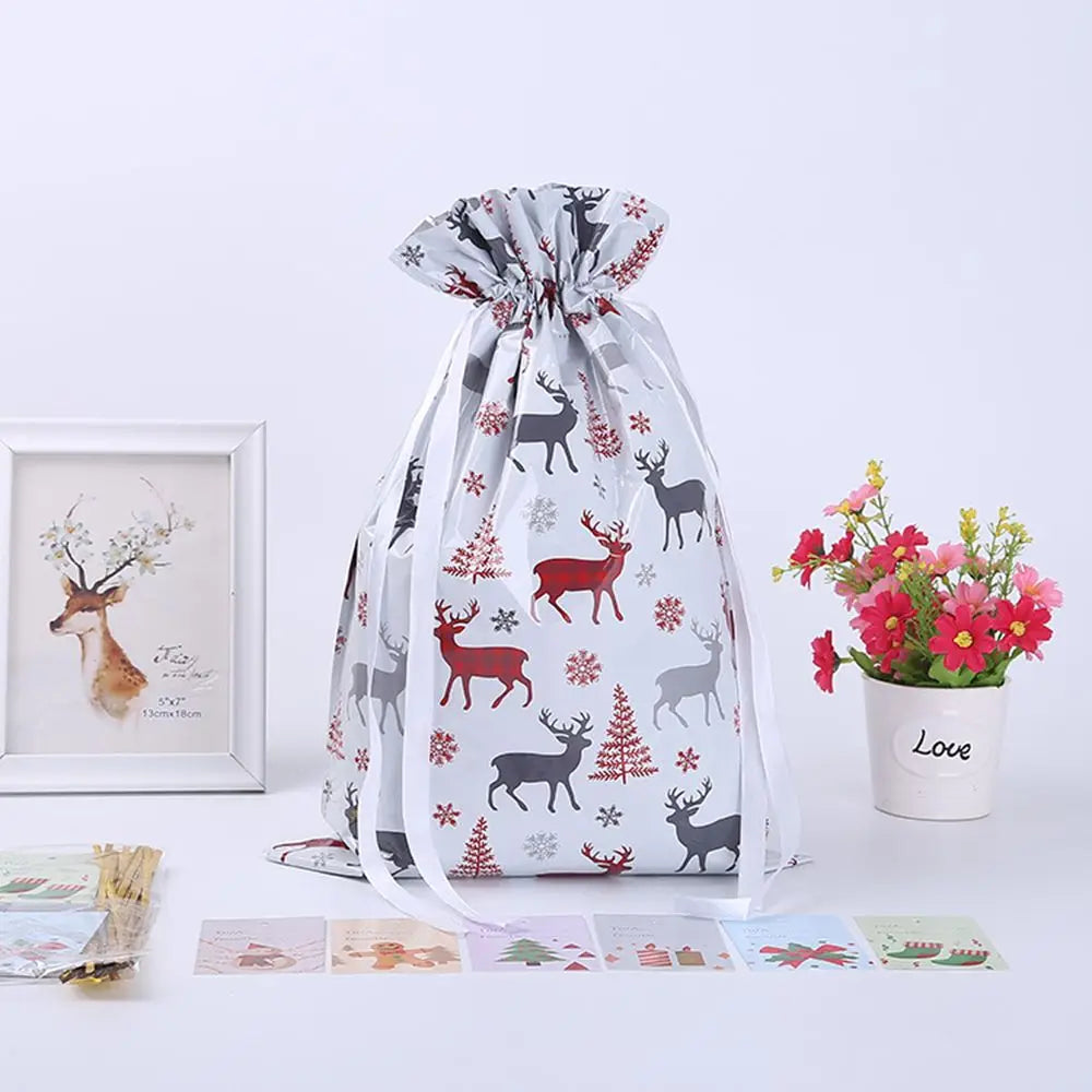 5 Geschenktüten mit Kordelzug