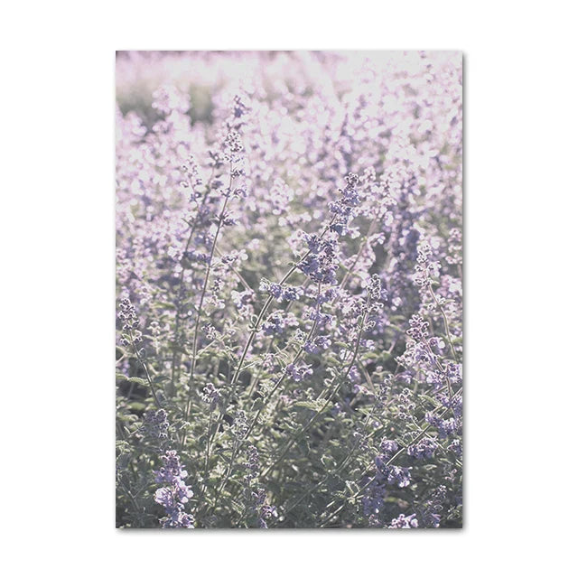 Provence Landschaft Purpur Lavendel Bilder von ruhiger Wandkunst Fine Art Leinwanddrucke Galerie Wandbilder für Wohnzimmer Kunst Dekor