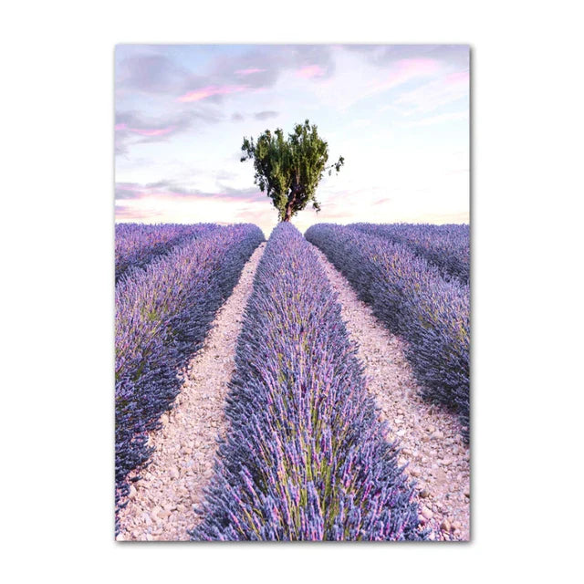 Provence Landschaft Purpur Lavendel Bilder von ruhiger Wandkunst Fine Art Leinwanddrucke Galerie Wandbilder für Wohnzimmer Kunst Dekor