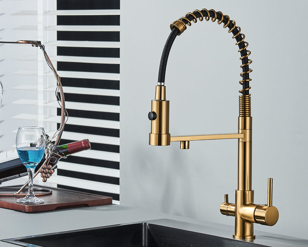 Sandsberg Schwarzer Filter-Küchenwasserhahn mit Dual-Auslauf – Mischbatterie mit Wasserfilter für Küchen, Wasseraufbereitung und Reinigung | Brehn