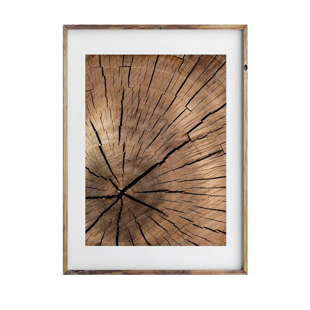 Natürliche Holzbaumring-Wandkunst-Poster, feine Kunst-Leinwanddrucke, Bilder für modernes Landhaus-Wohnzimmer, skandinavischer Stil, Wohnkultur | Brehn