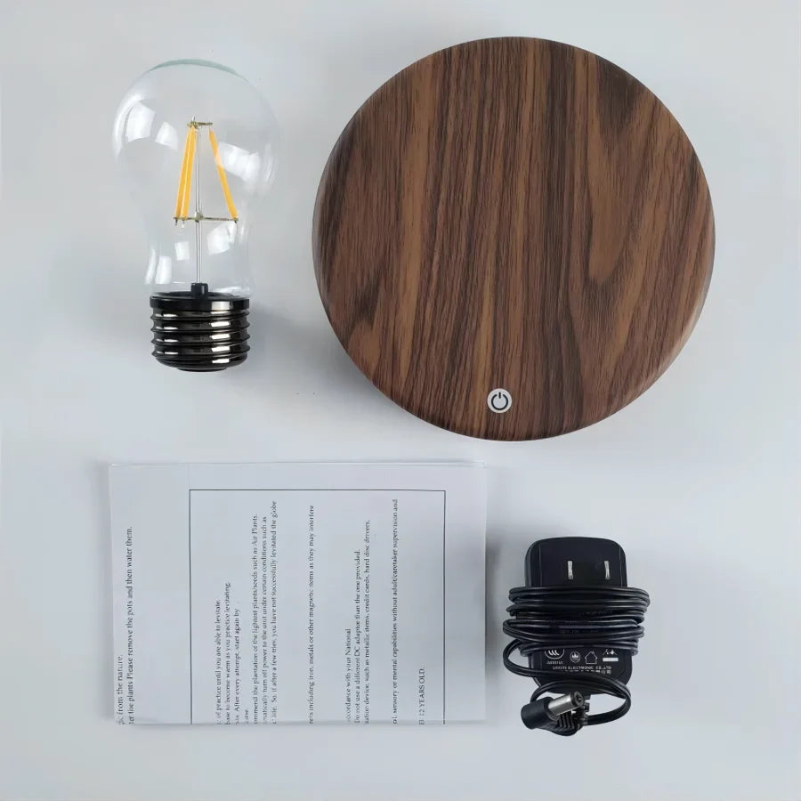 Schwebende Glühbirne Brehn