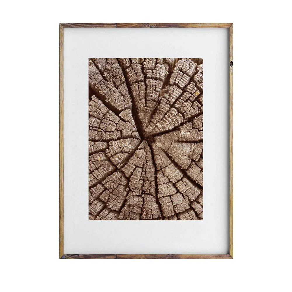Natürliche Holzbaumring-Wandkunst-Poster, feine Kunst-Leinwanddrucke, Bilder für modernes Landhaus-Wohnzimmer, skandinavischer Stil, Wohnkultur | Brehn
