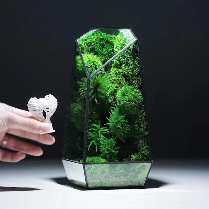 Moderner geometrischer, von der Natur inspirierter botanischer Terrarium