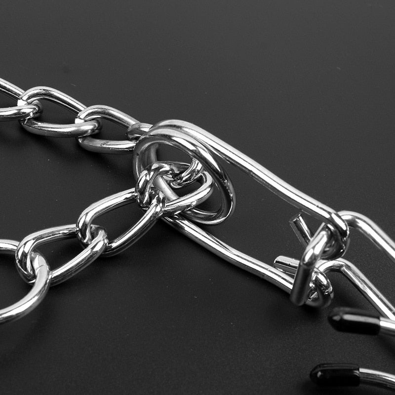 Brehn | Hund Pincher Halsband - Stil B