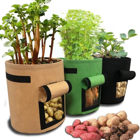 GrowMaster Pro — Mehr Power für deine Pflanzen, damit deine Ernte alle staunen lässt! | Brehn