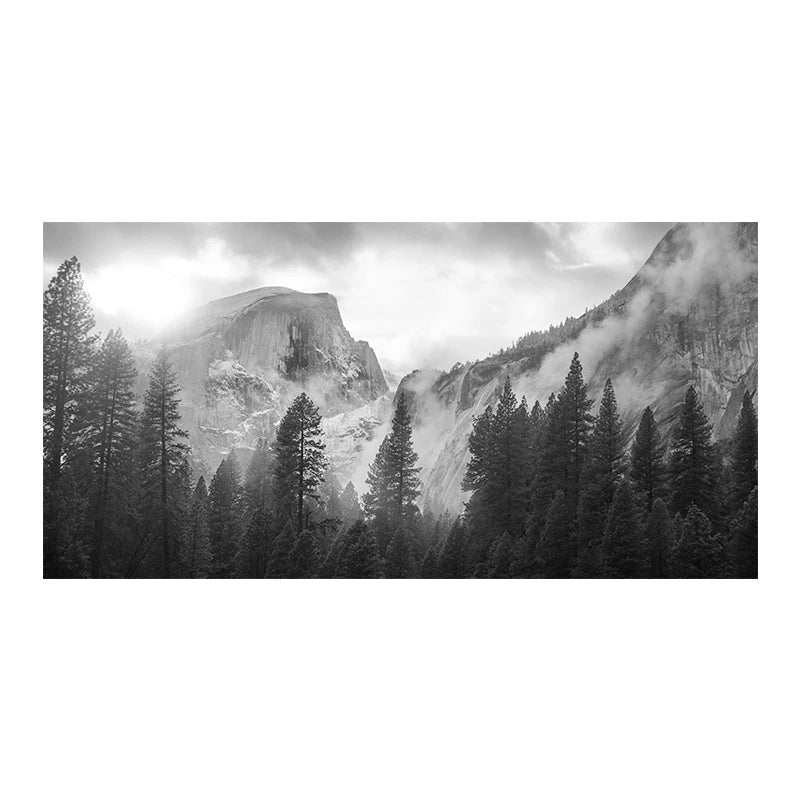 Nordlandschaften Wald Berg Wildnis Wandkunst Fine Art Leinwanddrucke Schwarz Weiß Poster Für Wohnzimmer Moderne Büros Dekor | Brehn