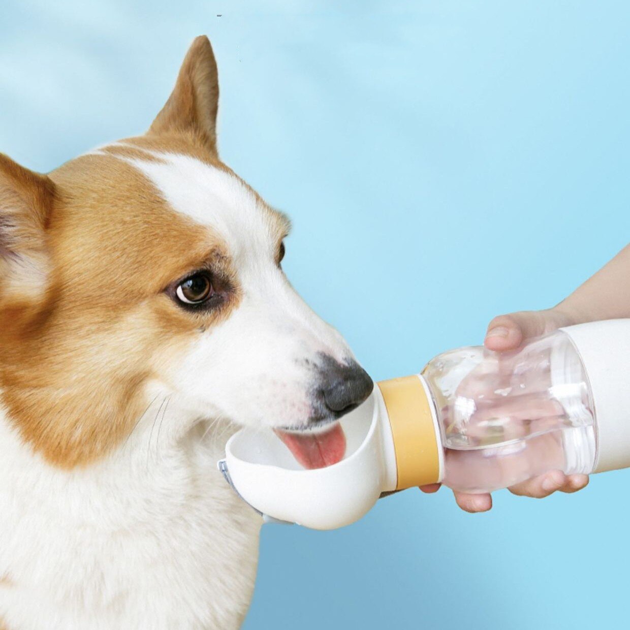 Brehn | 2in1 Smart Pet Tragbare Wasserflasche Futterspender