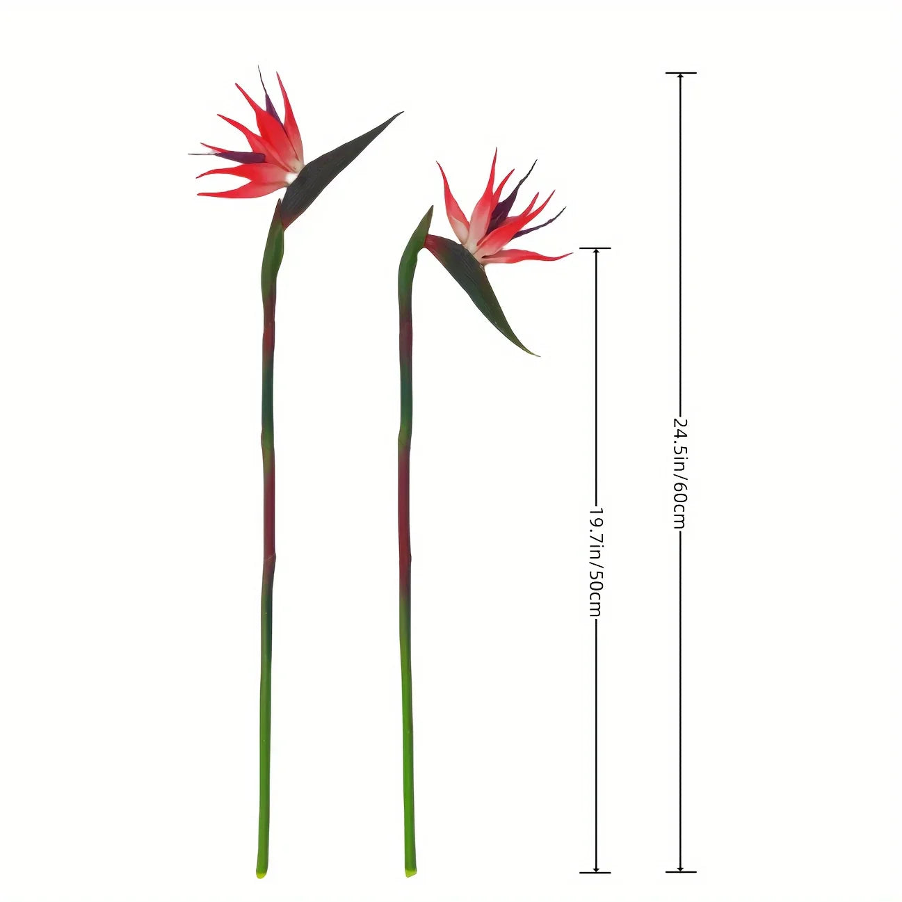 Brehn | Floriva 3-teiliges Set Künstliche Strelitzien | Paradiesvogelblumen | 24,5 cm Lange Stiele | Dekoration für Zuhause, Büro & Veranstaltungen