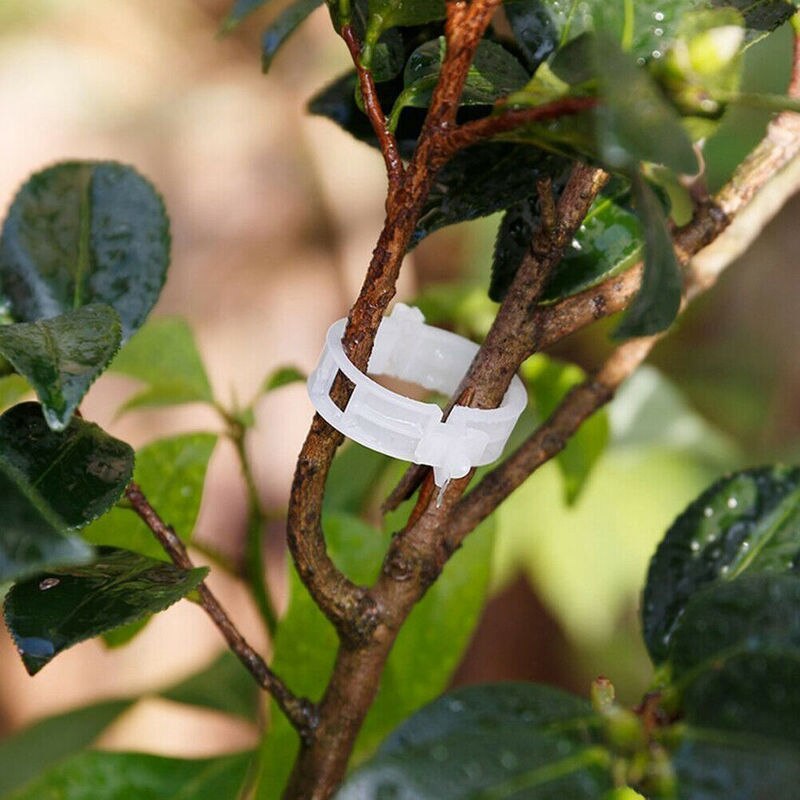 Grüner Garten Sicher Pflanzenstütz Clips | Brehn