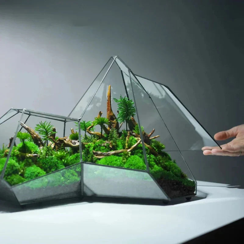 Geometrischer Glasmoos-Pflanzer Terrarium-Vase