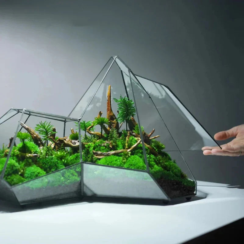 Geometrischer Glasmoos-Planter-Terrarium-Vase | Brehn