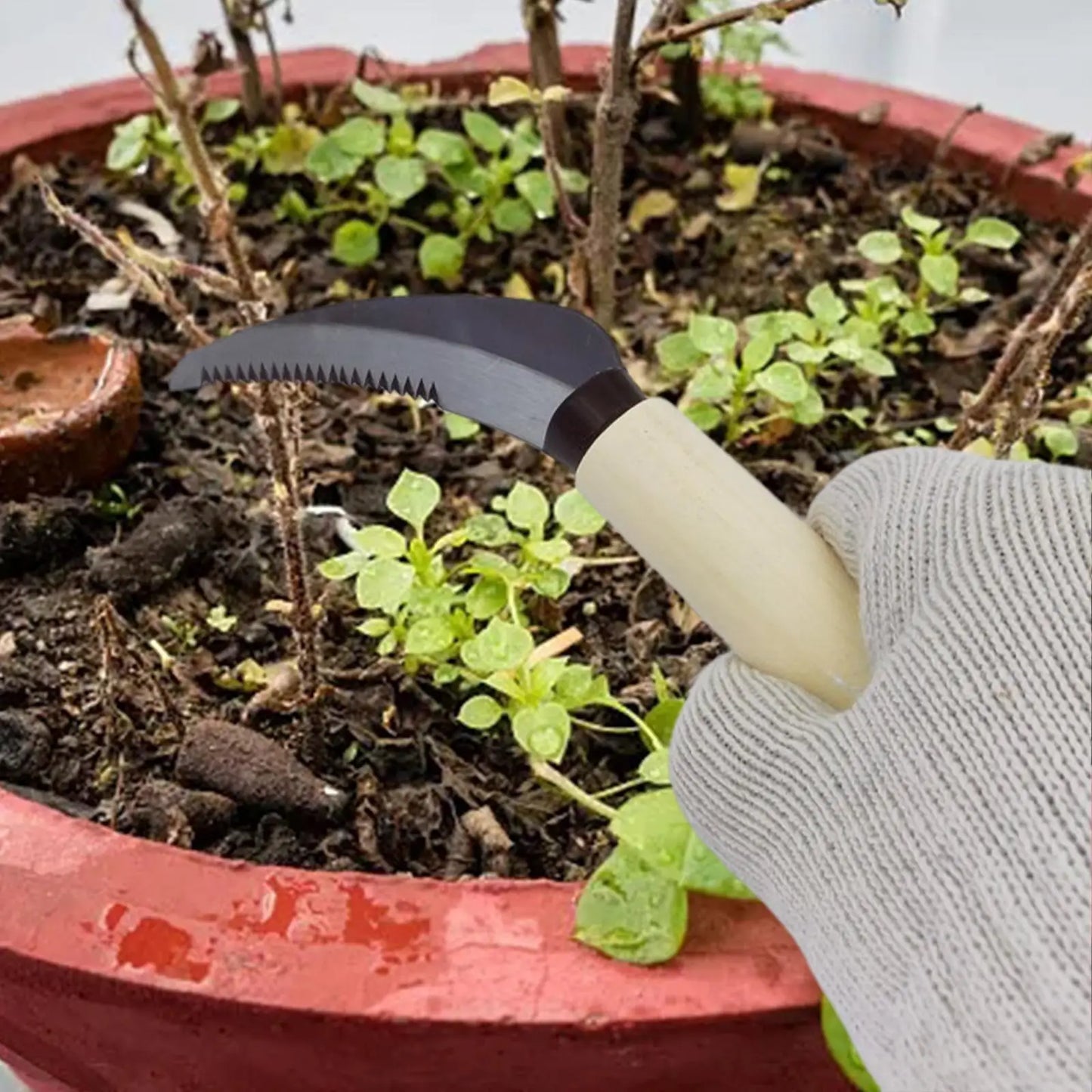ZenWeed Gartenmesser | Präzise Klinge aus Edelstahl | Ergonomischer Holzgriff | Kompakt und handlich