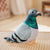 Pigeon Snuggly Plüschspielzeug | Brehn