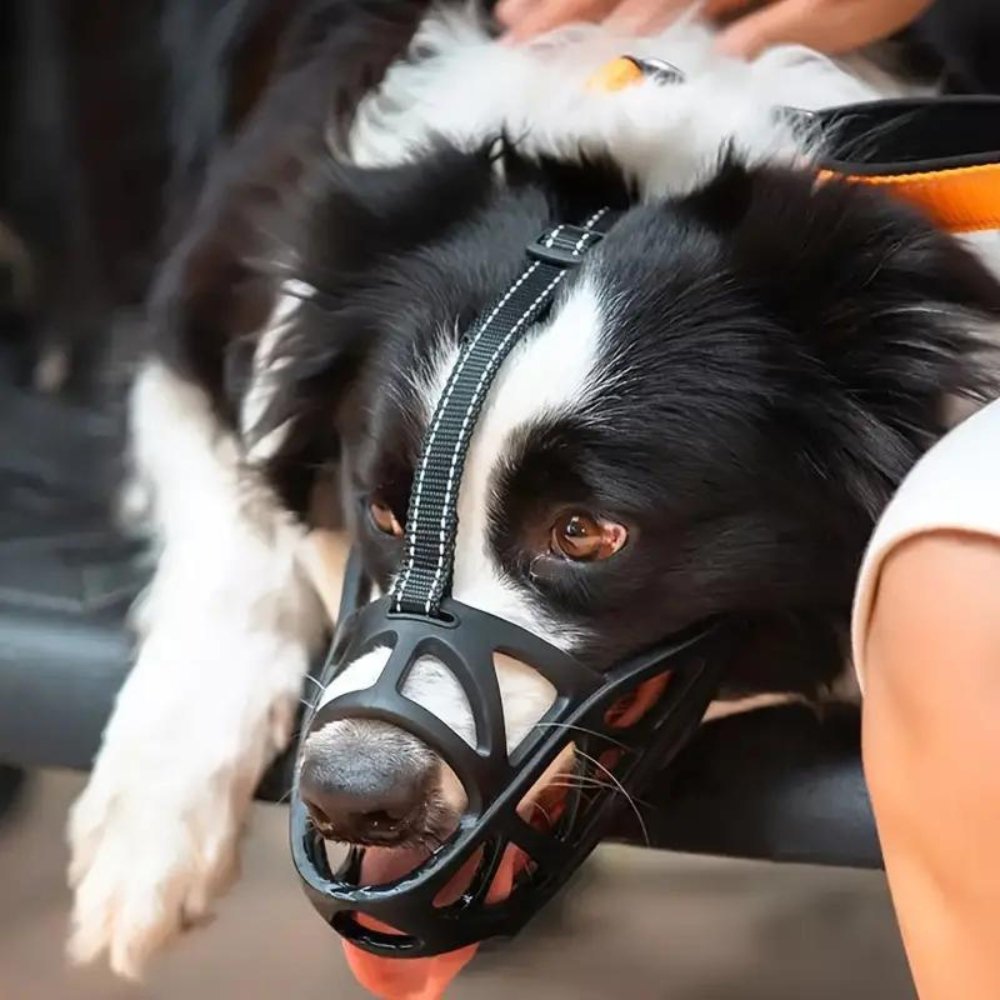 SafeBark Maulkorb für Hunde – Effektive Anti-Biss- und Anti-Bell-Lösung, Atmungsaktiv und Bequem | Brehn