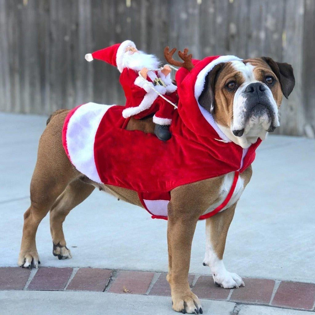 Weihnachtsmann Hundekostüm | Brehn