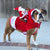 Weihnachtsmann Hundekostüm | Brehn