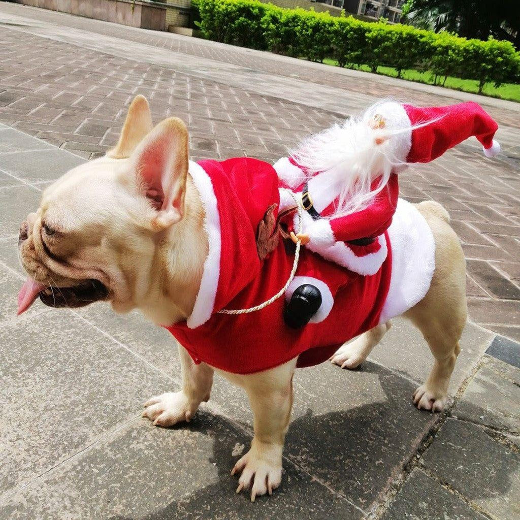 Weihnachtsmann Hundekostüm | Brehn