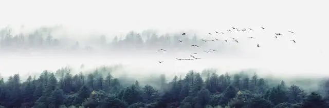 Bergsee Wald Wildnis Wandkunst Großformat Leinwanddrucke Breitformat Landschaftsbild Für Über Das Sofa Oder Über Das Bett | Brehn