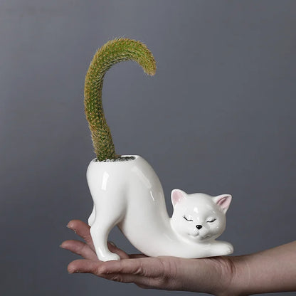 Niedlicher Katzen-Blumentopf - Glasiertes Porzellan-Sukkulenten-Planter | Brehn