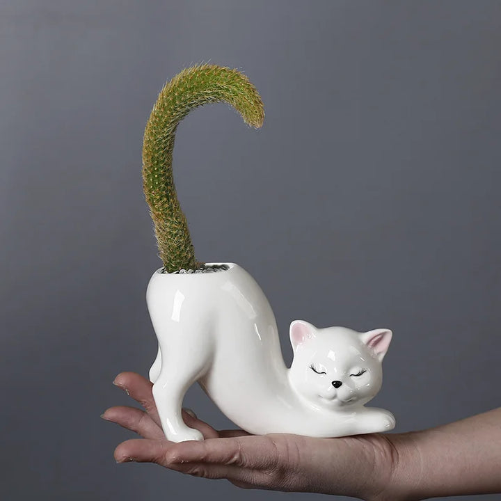Niedlicher Katzen-Blumentopf - Glasiertes Porzellan-Sukkulenten-Planter | Brehn