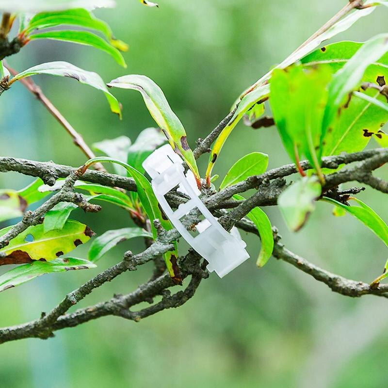 VIvolux | Grüne Garten Sichere Pflanzenstützen Clips