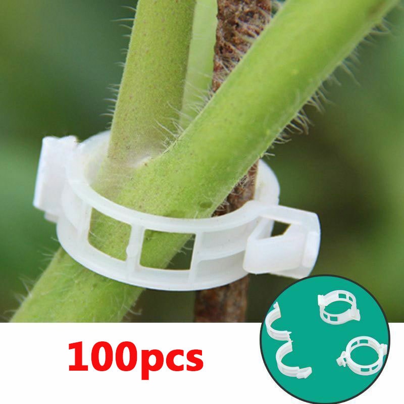 Grüner Garten Sicher Pflanzenstütz Clips | Brehn