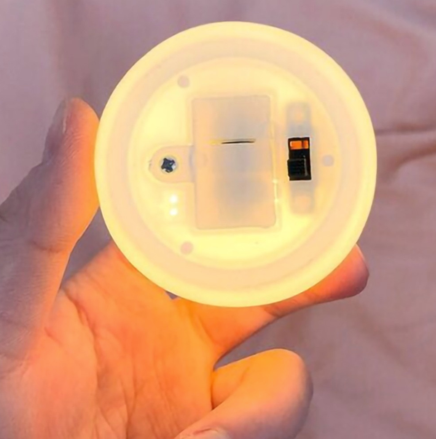 Chelly Chic Muschel Lampe | Eine magische Lampe mit einer Perle | Brehn