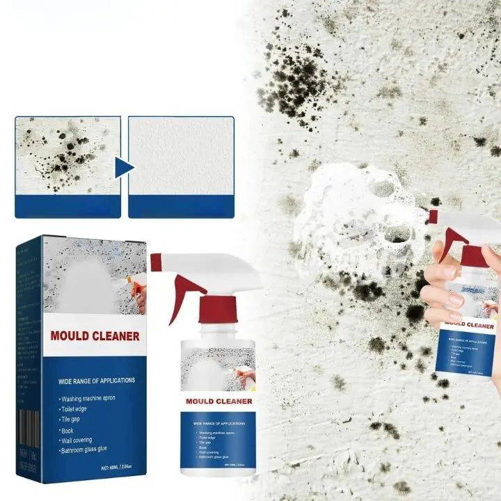 Schimmelentferner Schaum Spray