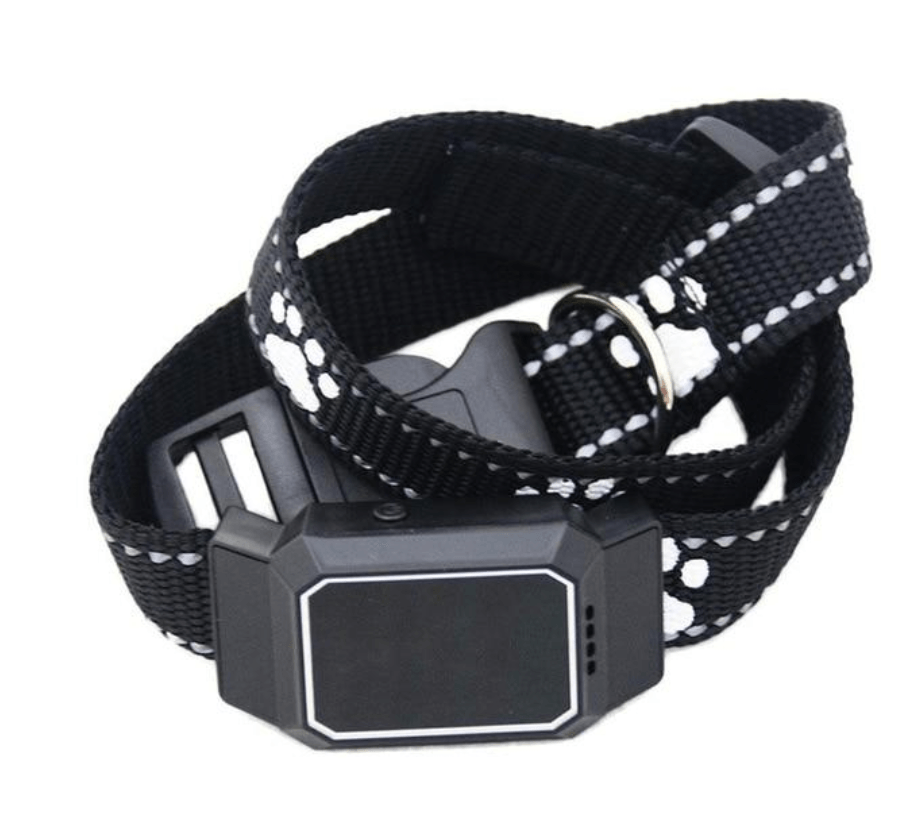 Brehn | Mini GPS Hunde Tracker