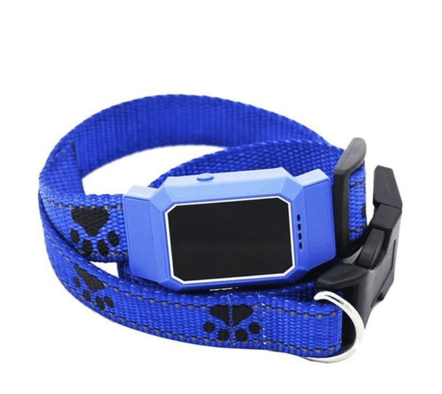 Brehn | Mini GPS Hunde Tracker