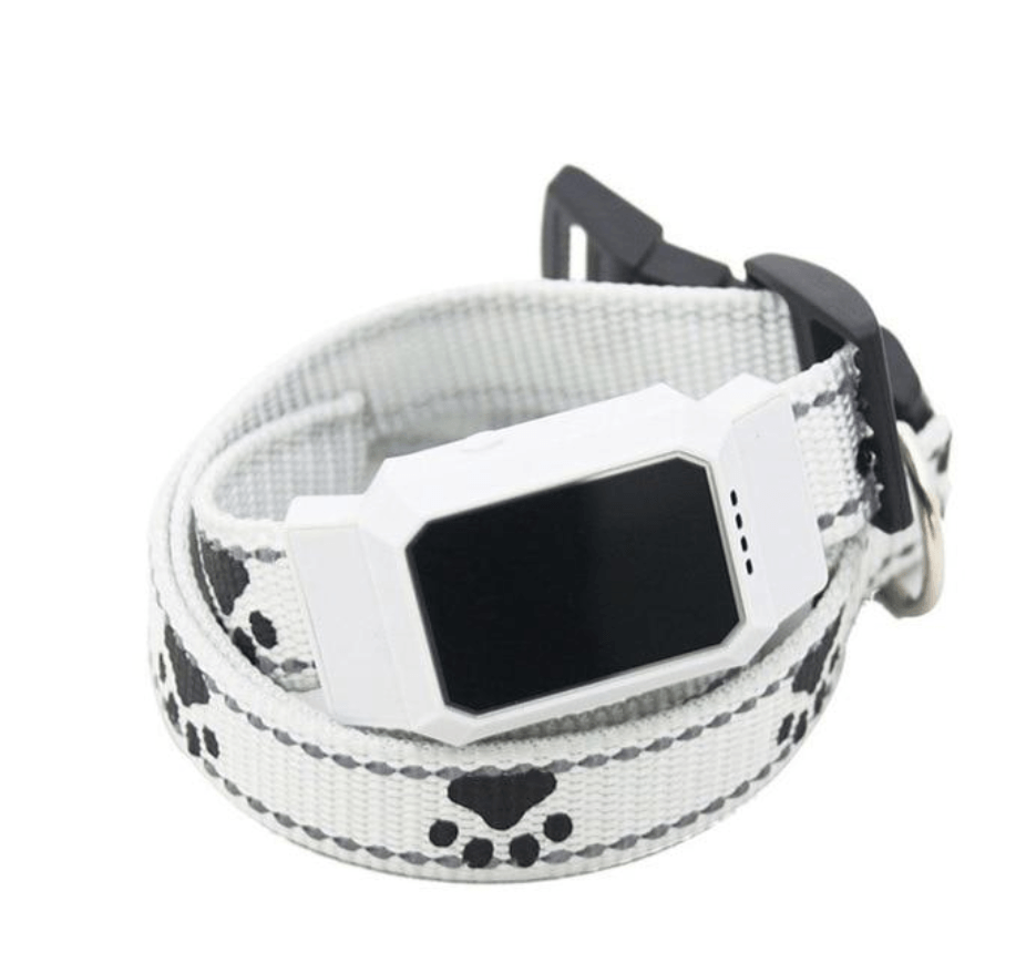 Brehn | Mini GPS Hunde Tracker