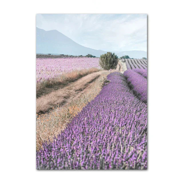 Provence Landschaft Purpur Lavendel Bilder von ruhiger Wandkunst Fine Art Leinwanddrucke Galerie Wandbilder für Wohnzimmer Kunst Dekor