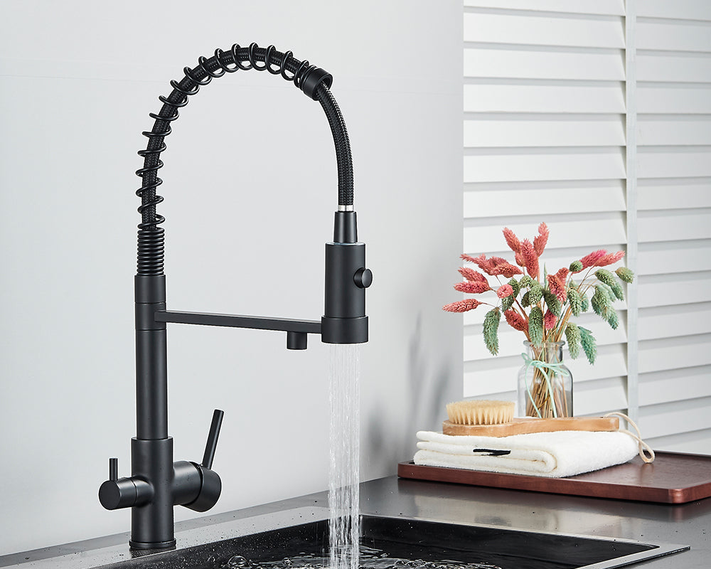 Sandsberg Schwarzer Filter-Küchenwasserhahn mit Dual-Auslauf – Mischbatterie mit Wasserfilter für Küchen, Wasseraufbereitung und Reinigung | Brehn
