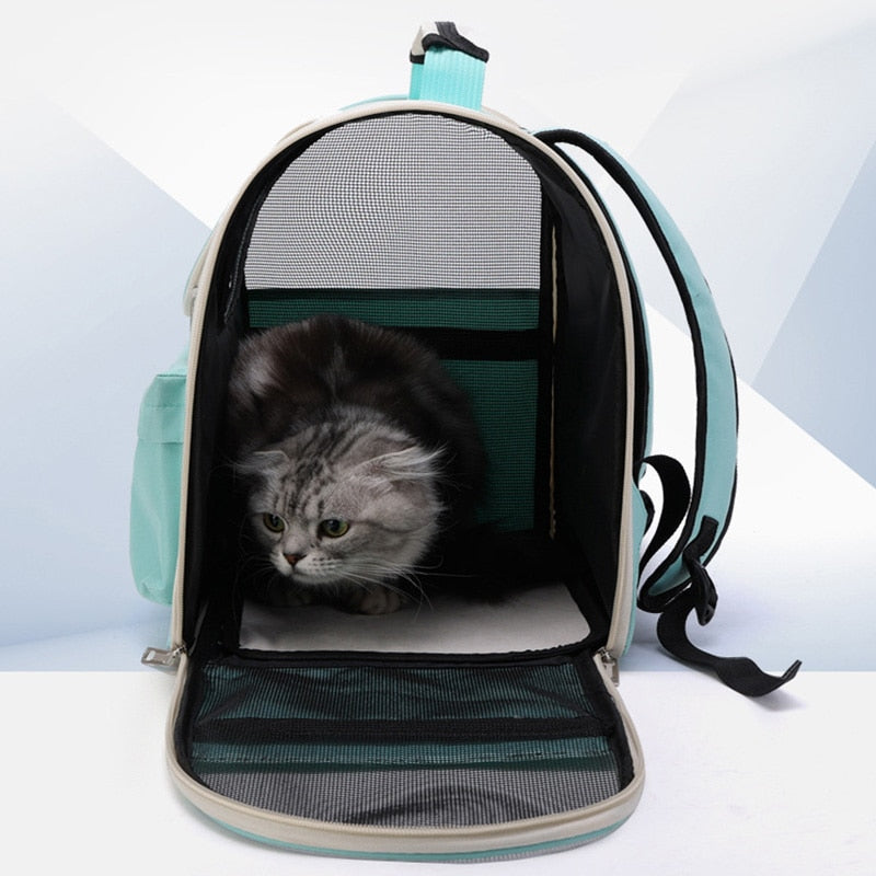 Brehn | Atmungsaktive transparente Katzen-Tragetasche