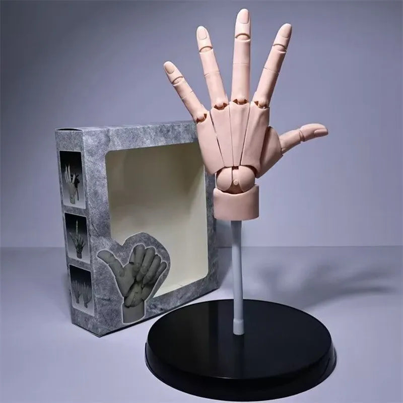 Multi-Pose Zeichnen Modellieren Kunst Handmodell