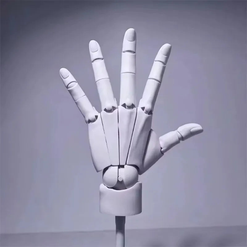 Multi-Pose Zeichen Skulptur Kunst Hand Modell | Brehn