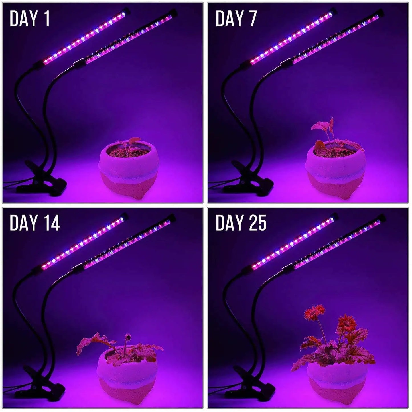 LumiPlant LED-Pflanzenlampe | USB-Pflanzenlampe | 1–4 Leuchtenköpfe | Dimmbar mit Timer