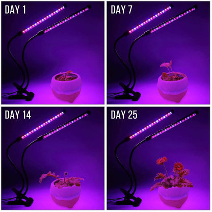 LumiPlant LED-Pflanzenlampe | USB-Pflanzenlampe | 1–4 Leuchtenköpfe | Dimmbar mit Timer