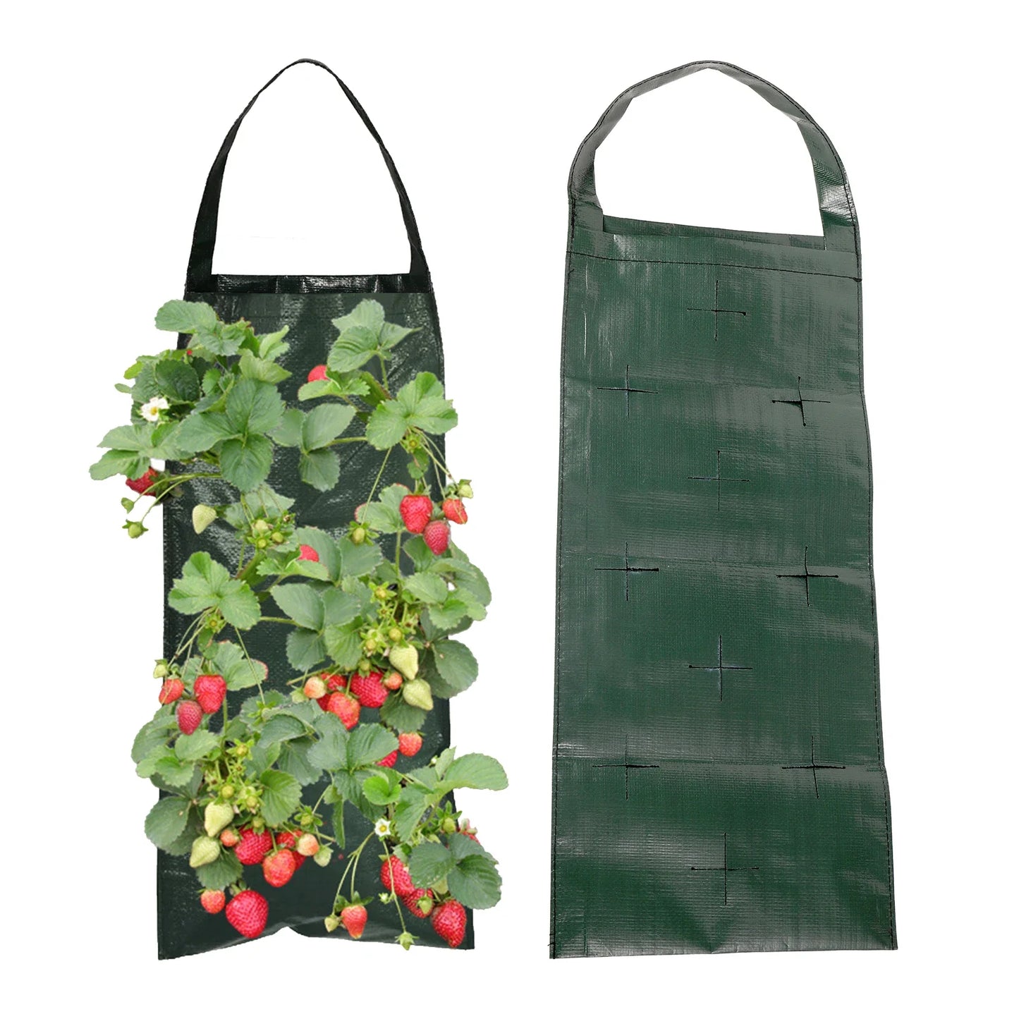 Brehn | VertiBloom Wand-Pflanztasche für Erdbeeren & Kräuter | 6/8/10 Taschen | Vertikaler Garten Pflanzsack aus PE für Innen & Außen