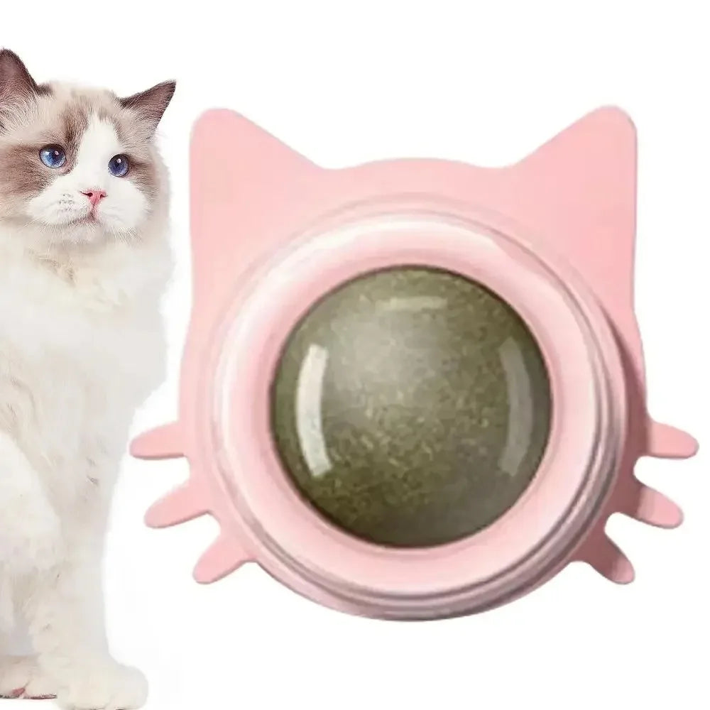 Brehn | Interaktiver Ball für die Gesundheit und Freude der Katze